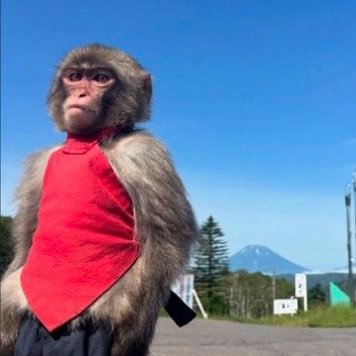 jaygarza210's profile picture. 