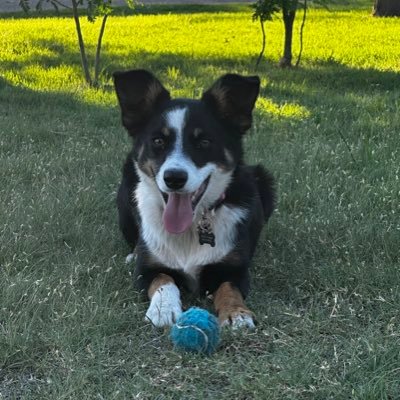 TrevorCarver8's profile picture. 