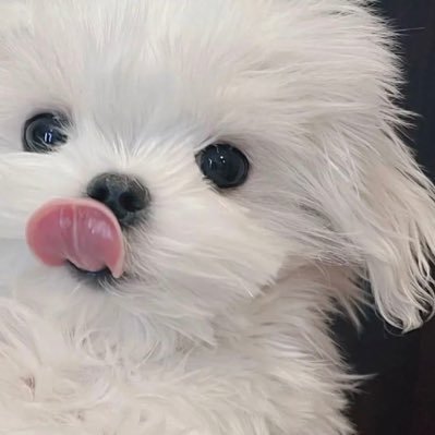 重庆情侣,21/162/48kg女友现在大三在读,身材颜值都是极品,寻优质有经济实力的单男(单男有100🚪)电报福利群188入群