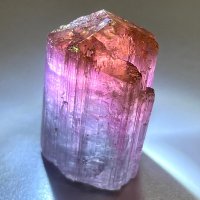 ❤トリマリンさま❤❤✨ Tom (@tomtourmaline) / X