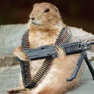 Coonl's profile picture. 