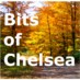 Bits of Chelsea (@bitsofchelsea) Twitter profile photo