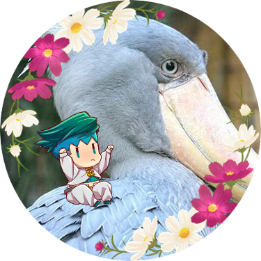 高橋一生さんが好きな鳥です🕊  ͗ ͗🤍ｽﾄｷﾝ/ﾌﾗｯﾊﾟｰ/藩士/彦根のもち🐱