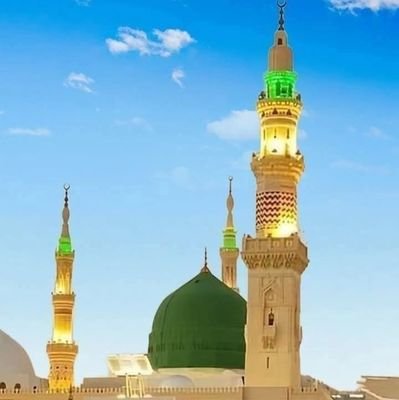 MarketingRug's profile picture. Offering a wide selection of high-quality Afghan & Turkish rugs in large quantities at wholesale prices. Perfect for homes, businesses, and resellers.