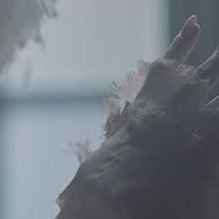 Forgetmenot_418's profile picture. 🗝@Ln4suger 🐺 @ny_22kv