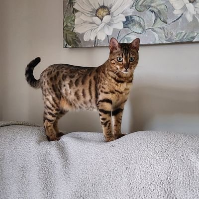 _Jord45's profile picture. ▫️Formula 1▫️Edmonton Oilers▫️

https://t.co/e5tg2aMfJL