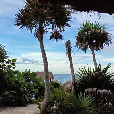 11Memo11's profile picture. 