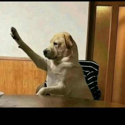 RobertWydeven's profile picture. if you know you know..