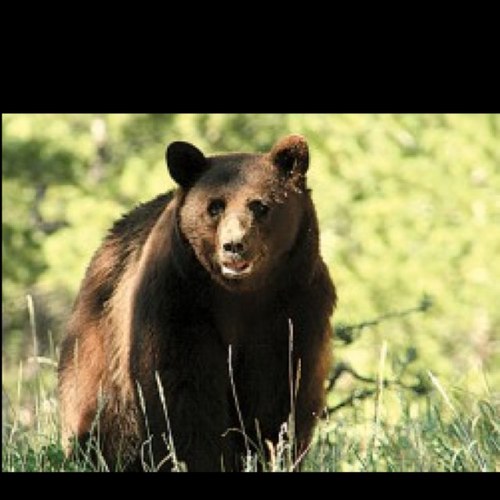 rockystargazer's profile picture. 