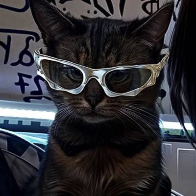 saykizin's profile picture. 