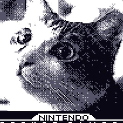 YUSU_N0SUK3's profile picture. ゲーム、レトロゲーム、ガジェット、猫、本