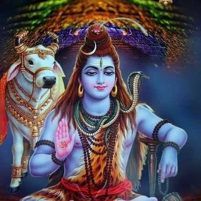 HollaR32653's profile picture. Gods determine what you're going to be。
