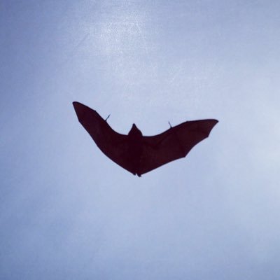 «Si vous avez compris ce que je viens de vous dire, c’est que je me suis probablement mal exprimé» Alan G. $ETH ⟠ Stade Toulousain. Pincez moi je rave! 🐦⬛