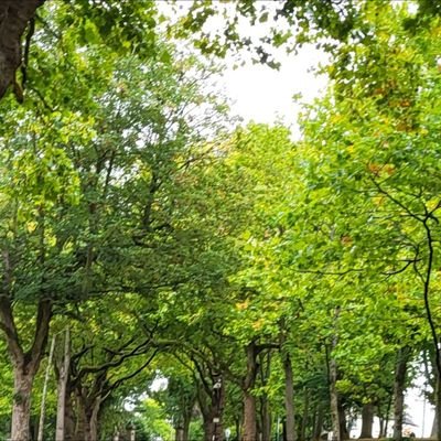 Nacir32's profile picture. Sensitive content ✋️ 🫸 🫷 ⏹️ 🚏 🚦