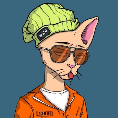 MerryToot94371's profile picture. 