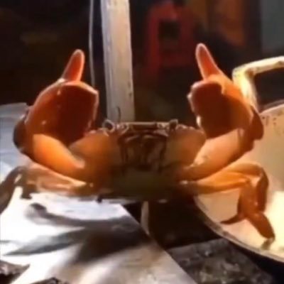 らえるんさんのプロフィール画像