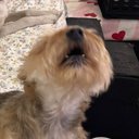 Sierra Earley - @si3rx2a - Twitter