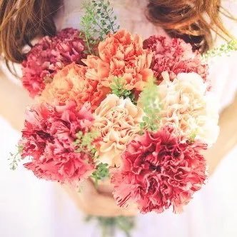 natsu725taks's profile picture. | writer／editor |映画をみたり。本を読んだり。