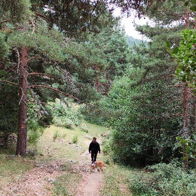 MaiderUralde's profile picture. 