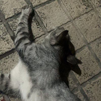 pwv123's profile picture. แอคติ่งบังทัน  แท็กขายของ #RVWRVS