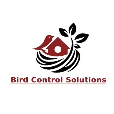 birdcontrol01's profile picture. 🕊️ Bird Netting Services
🏠 Pigeon Net for Balcony Installation
📍 Delhi | Gurugram | Noida | Faridabad | Dwarka
⭐ Trusted by 200+ Clients