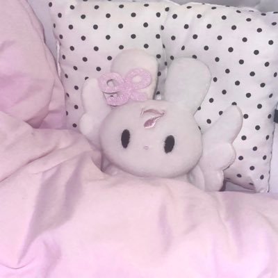 ˗ˏˋ꒰🍅꒱ pre-order selected cute stuffs from ch/th/kr ⟢ accept persod.ᐟ open 10am-10pm