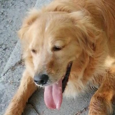 Kontes03's profile picture. 