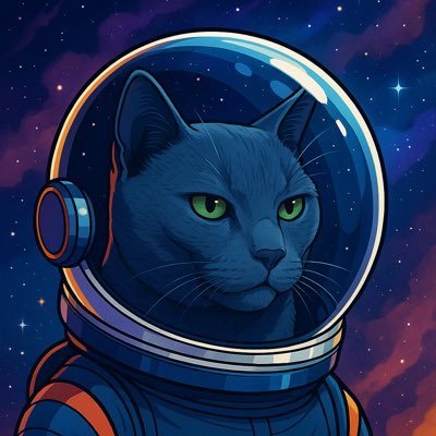 EnzoSol_1's profile picture. High risk, no regrets 🔥 | Memecoin hoarder 🐸 | Web3 drifter | Full-time degen 🎯