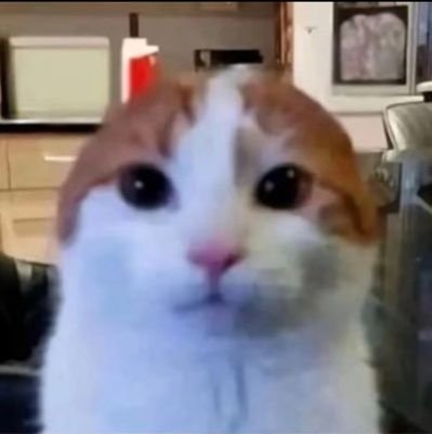 EEeeQAQ's profile picture. 小号朋友圈. /酒蒙子/可爱善良的小女孩一枚.