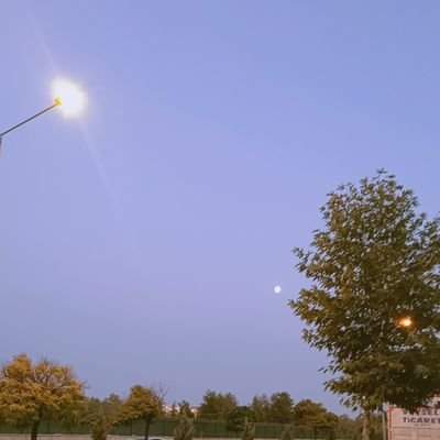 zyyildizz's profile picture. 