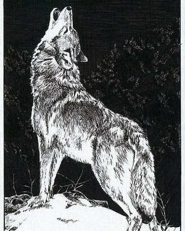 Recracken_slow's profile picture. (That's my type of nigga)
Nitrograph