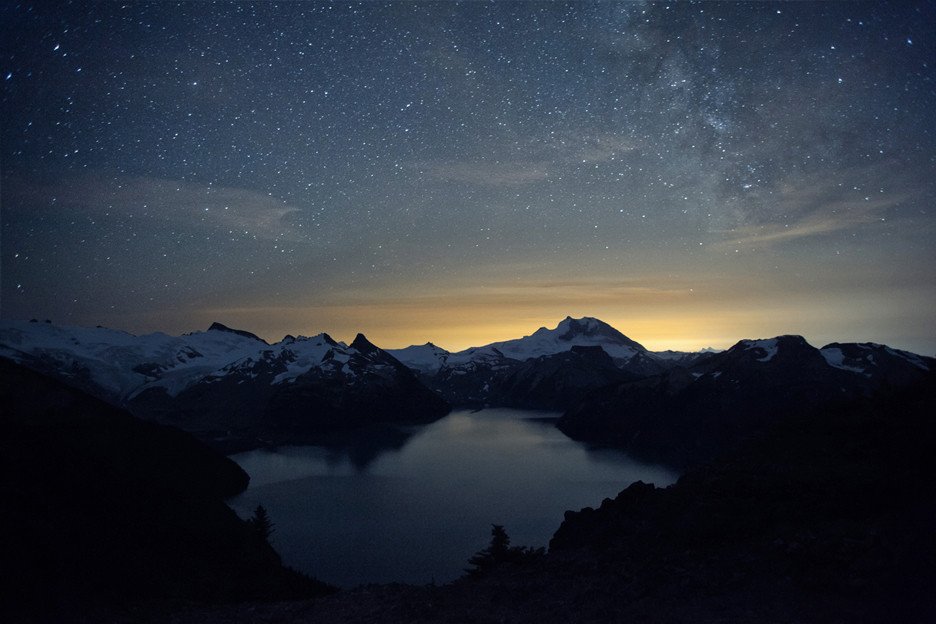 dless0's profile picture. Strut as we walk the carpet