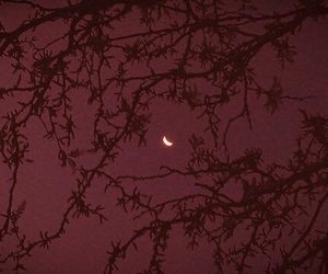 abeja__maja's profile picture. Tell me, would you stay with me?