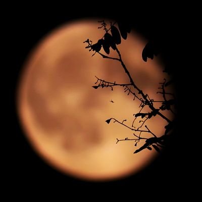 AvengWil's profile picture. J'aime mon pays 🇲🇫 😀
Paix Bonheur