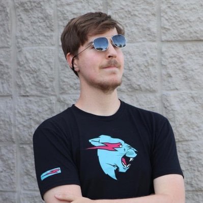 CO-CREATOR AND DIRECTOR OF MR BEAST GAMES SHOW