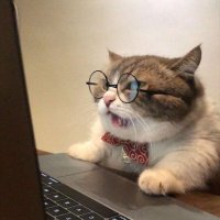 ชาเมลอยากนอน (@chanxn_chanxn_) 's Twitter Profile