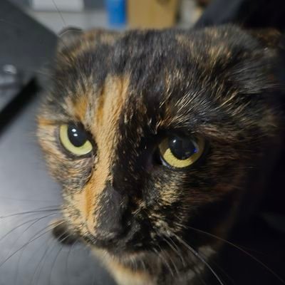 droukransus78's profile picture. 