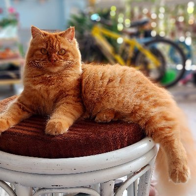 beatkarbu2008's profile picture. 