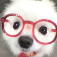 햇반 (@choonroll) 's Twitter Profile