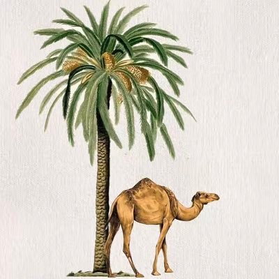 mjyoyo8's profile picture. وقُل رَبي زِدني علما 🤍                                         عضوة في فريق سبل القانون.