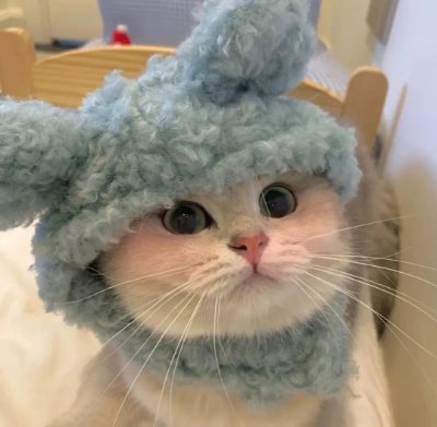 MaXiao79505's profile picture. 资源有偿分享，不是中介鸡头，妹子大多数验证过的，人照对版，起码七八分像不会踩雷，需要的直接联系👉🏻@Vipsn93   资源50一个，100三个，200打包全部资源🉑进群，后续免费使用全部资源！