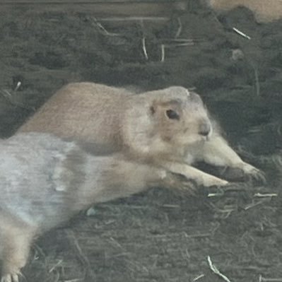 かるこさんのプロフィール画像