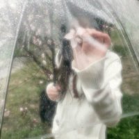 lilyspringe (@lilyspringe) 's Twitter Profile