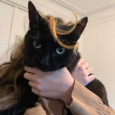 louannetouret's profile picture. 