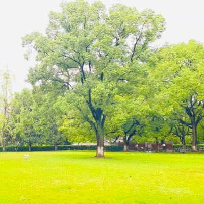 slightabc's profile picture. 