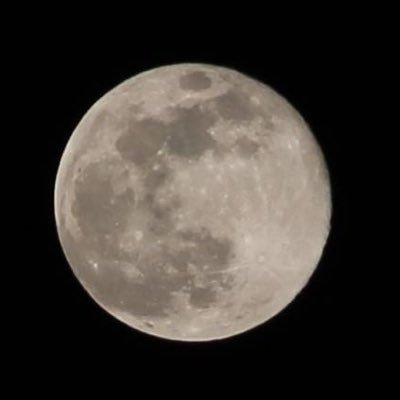 yu_moon_cha's profile picture. ✨中澤まさともさん推しです✨天体・ゲーム・可愛いもの好きです🐾