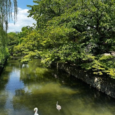 お会いできてありがとうございます。私は電気機器のプロとして、信頼と長期的なパートナーシップを大切にしています。
仕事以外では、朝のジョギングと読書を楽しみ、自制心とバランス感覚を養っています。