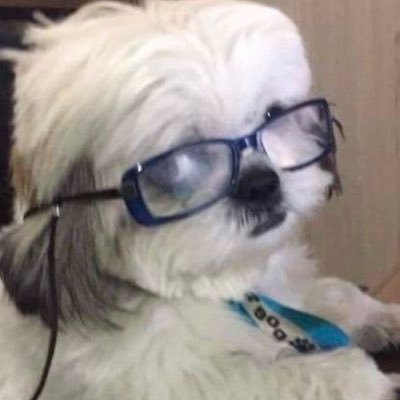 hilight_bhaayul's profile picture. 맘을 숨겨두는 짓은 못하꾸마.