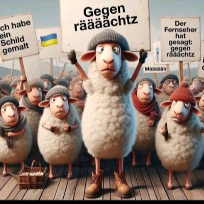 himmerod66's profile picture. 