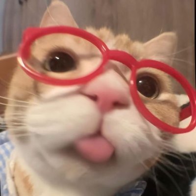 aeblue0223's profile picture. #MARK #RENJUN #JENO #HAECHAN #JAEMIN #CHENLE #JISUNG #NCTDREAM

akun ku, suka suka aku mau ngehype siapa😼